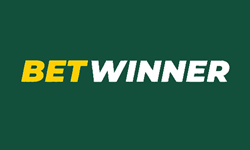 partner5